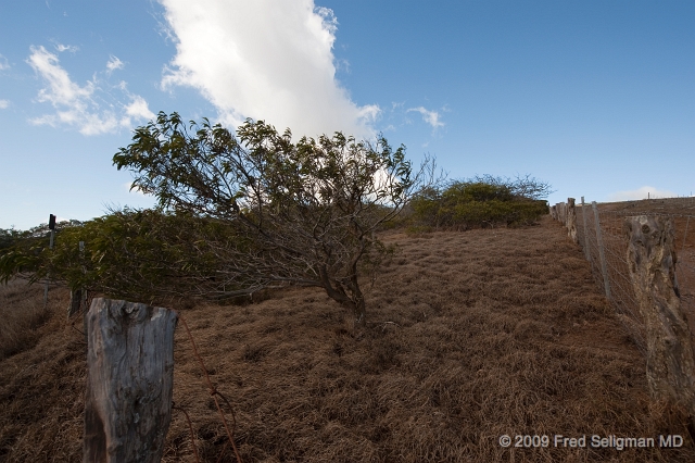 20091101_140924 D3.jpg - Big Island